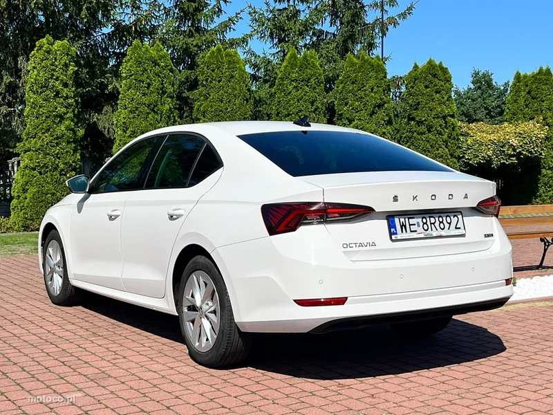 Skoda Octavia IV 3