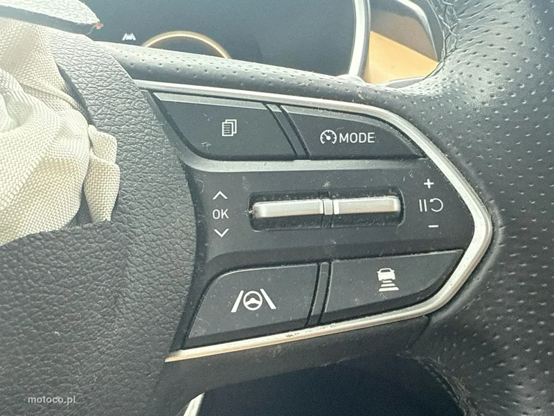 Hyundai SANTA FE 32