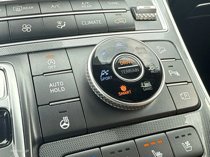 Hyundai SANTA FE 33