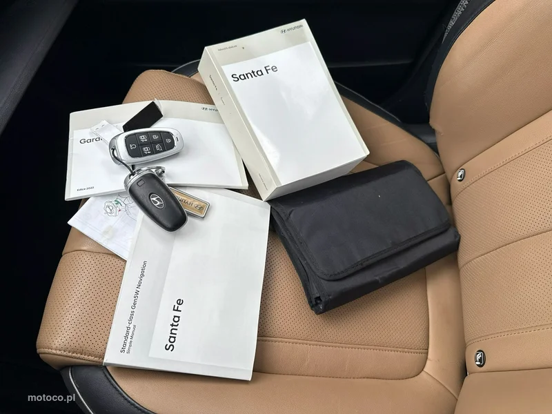 Hyundai SANTA FE 41