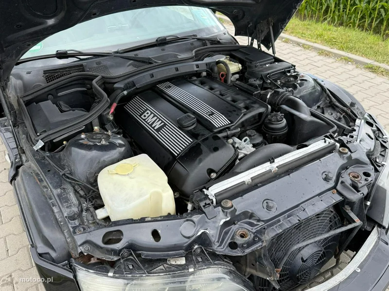 BMW Z3 10