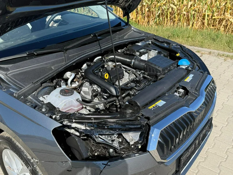 Skoda Fabia IV 10