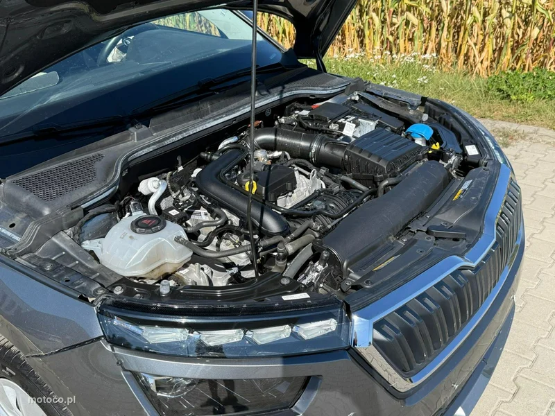 Skoda Kamiq I 11
