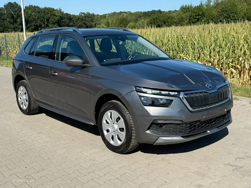 Skoda Kamiq I 7