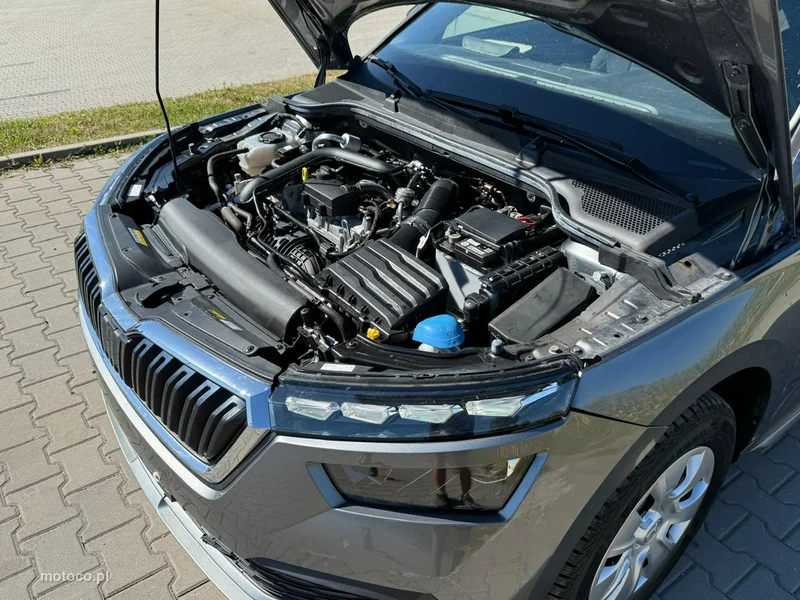 Skoda Kamiq I 9