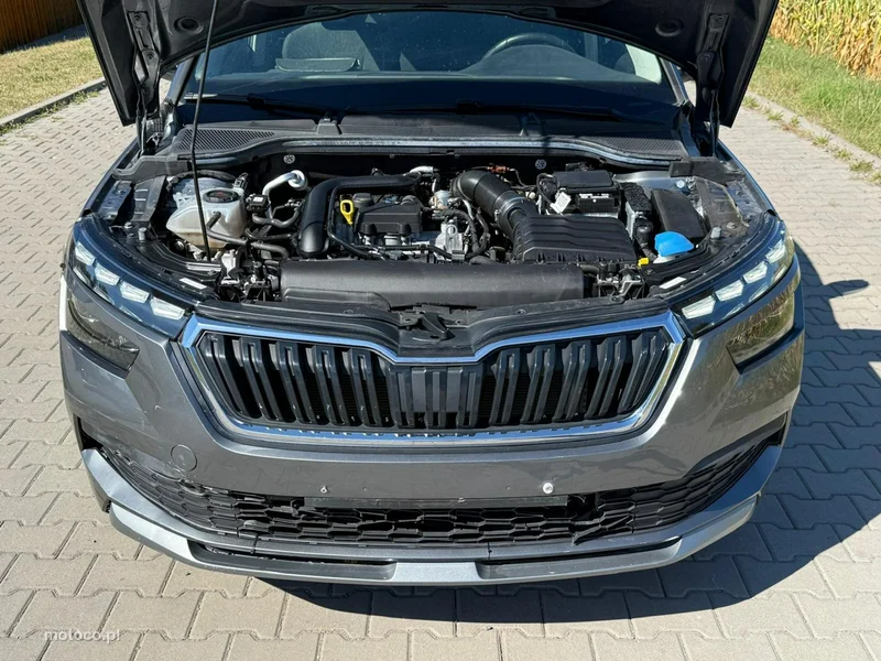 Skoda Kamiq I 10