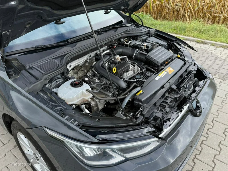 Volkswagen Golf Variant 8