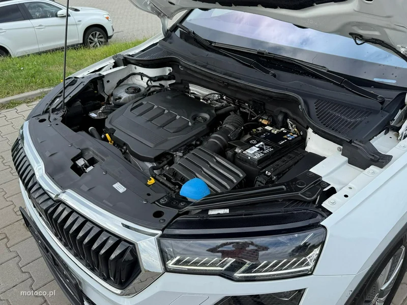 Skoda Karoq I 11