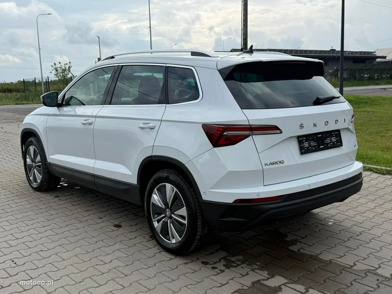Skoda Karoq I 3