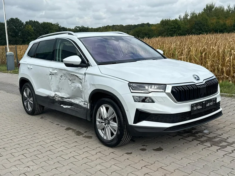 Skoda Karoq I 7
