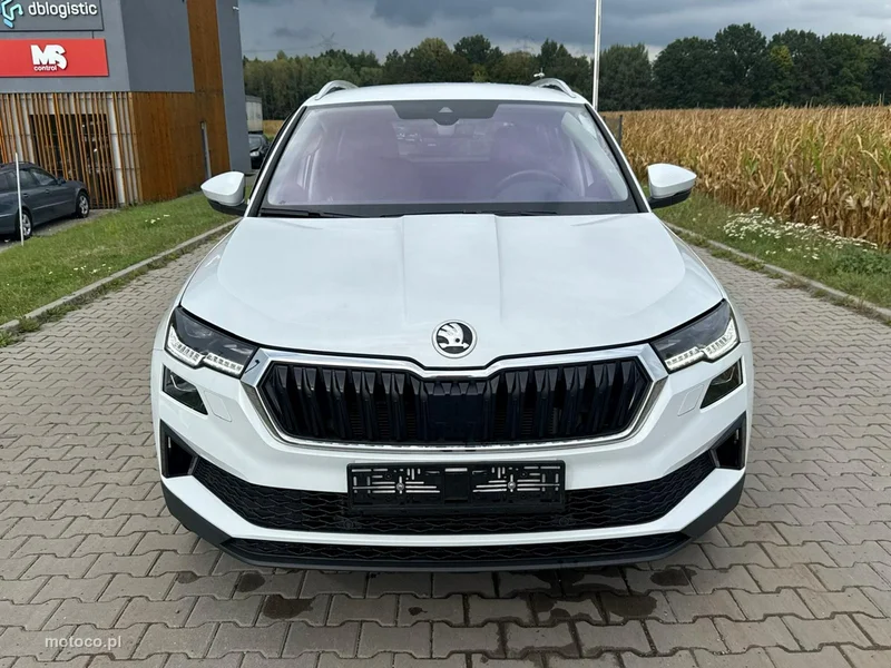 Skoda Karoq I 8