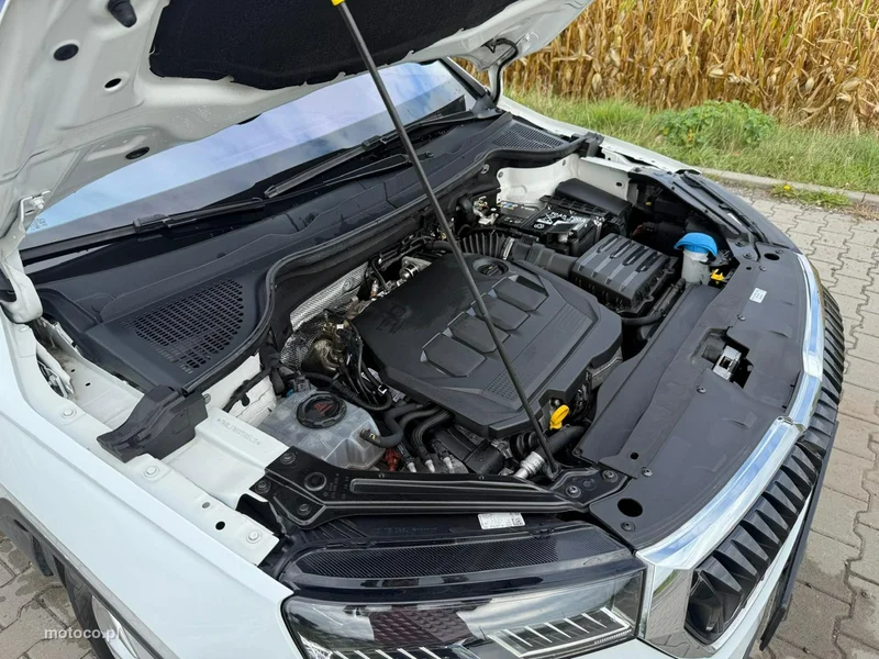Skoda Karoq I 9
