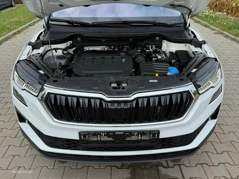 Skoda Karoq I 10
