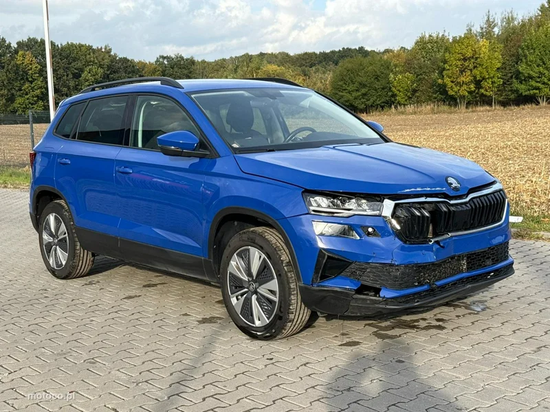 Skoda Karoq I 6