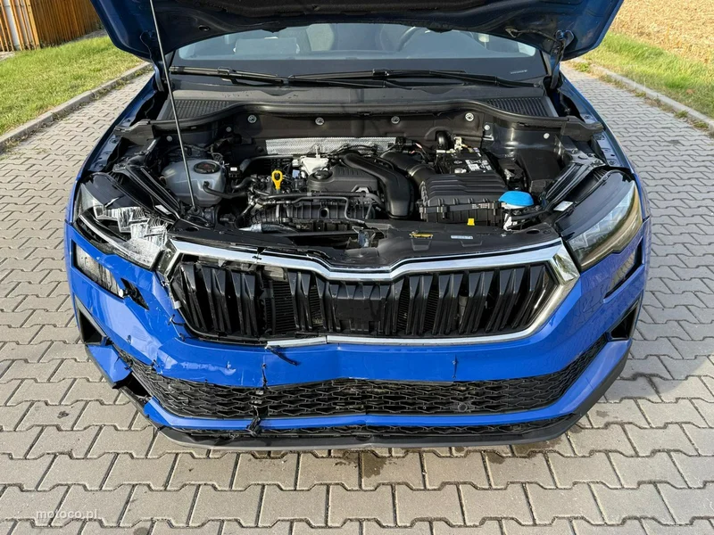 Skoda Karoq I 10