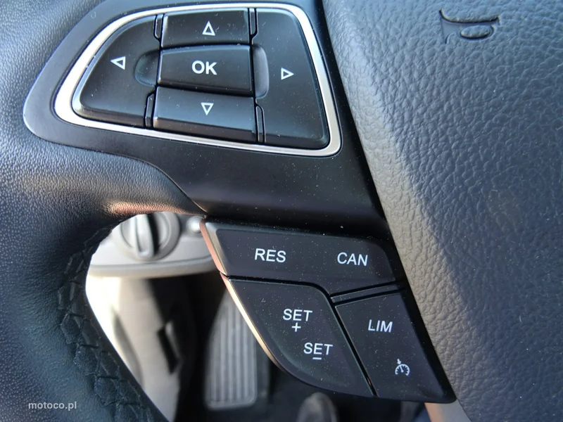 Ford Kuga II 18