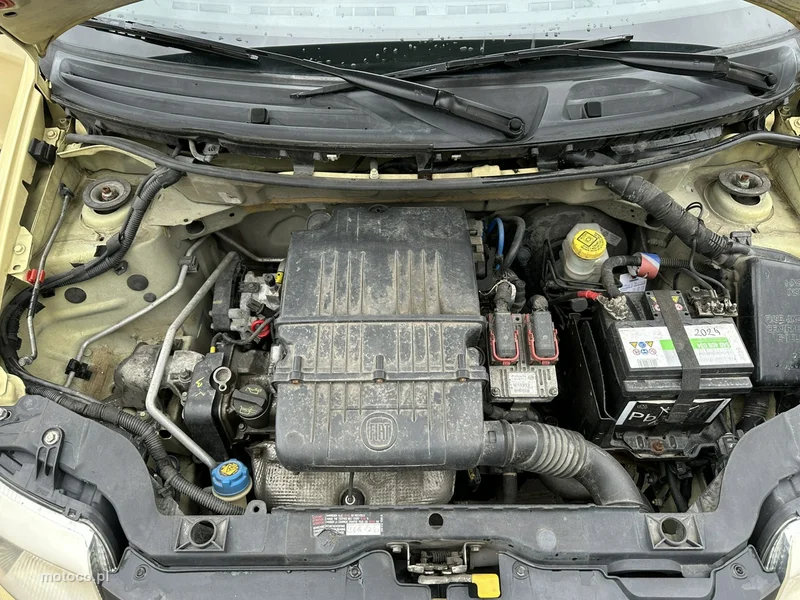 Fiat Panda 21