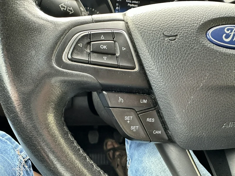 Ford Focus III 17