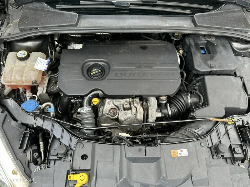 Ford Focus III 6