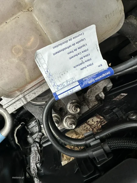 Ford Focus III 7