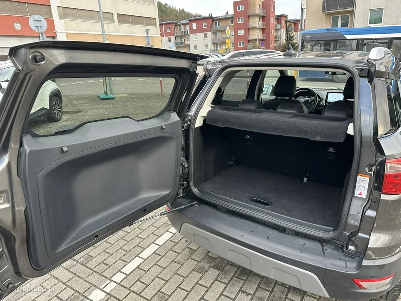 Ford EcoSport 16