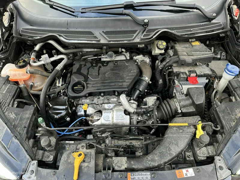 Ford EcoSport 24