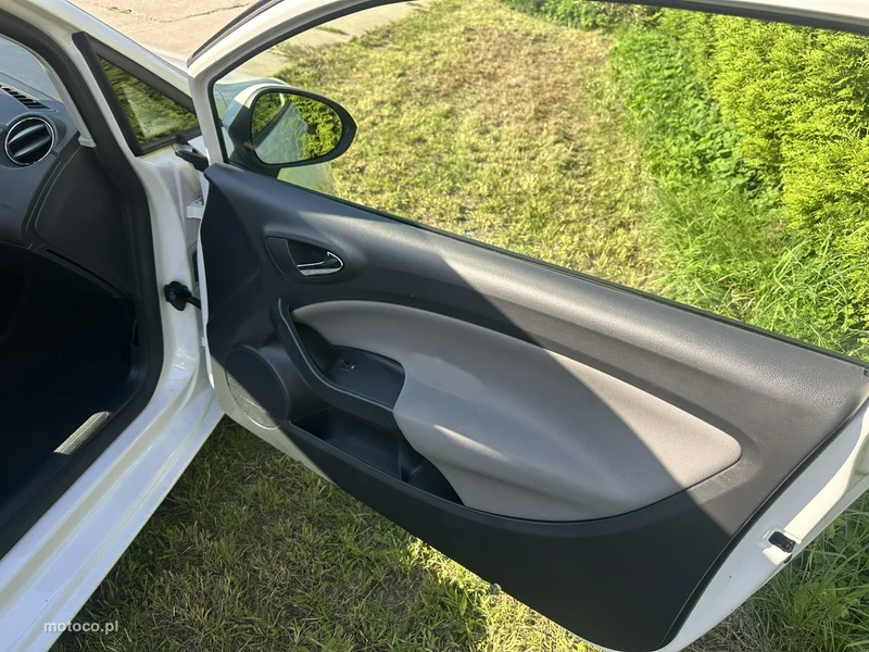 Seat Ibiza 15