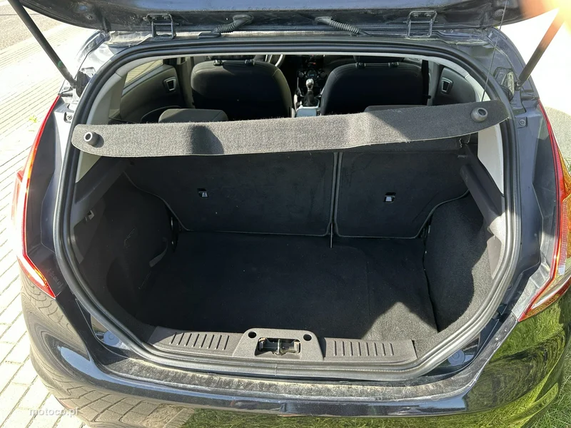 Ford Fiesta VI 13