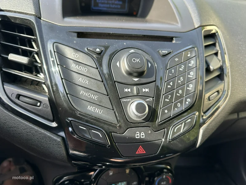 Ford Fiesta VI 21