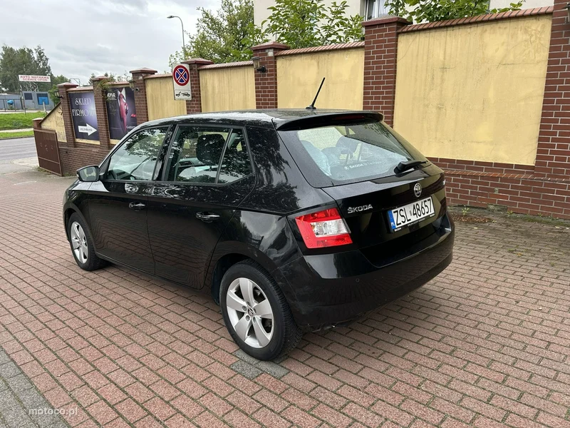 Skoda Fabia III 12