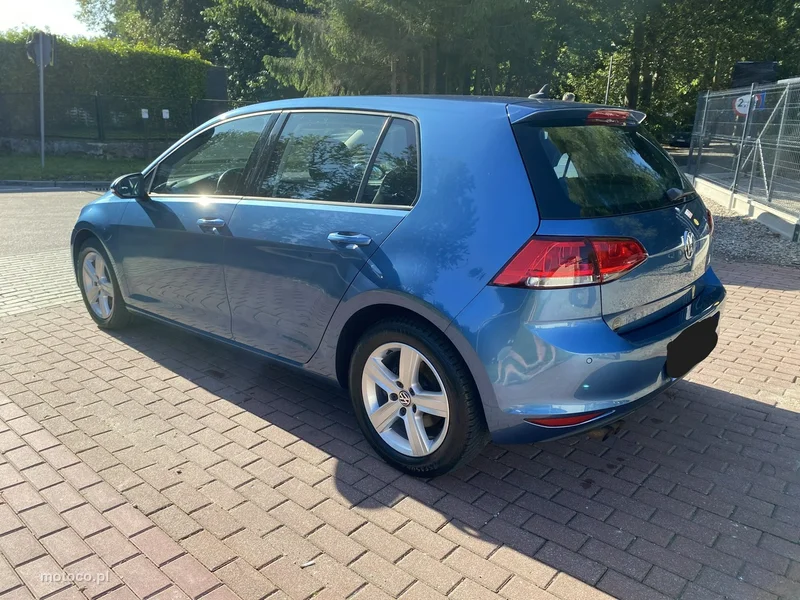 Volkswagen Golf VII 8