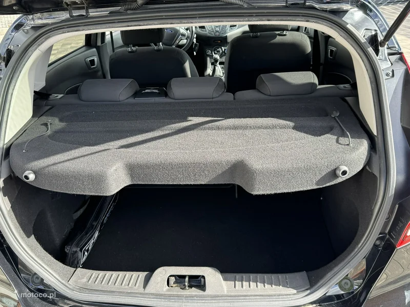 Ford Fiesta VI 13