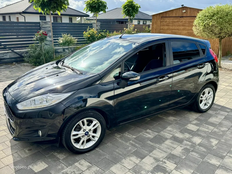 Ford Fiesta VI 14