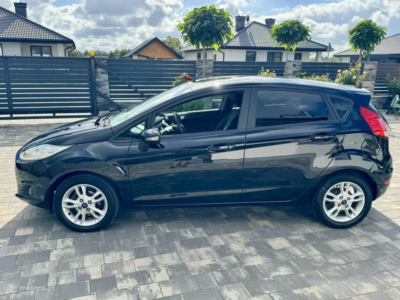 Ford Fiesta VI 16