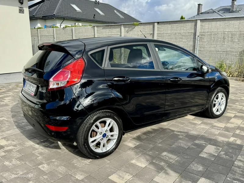 Ford Fiesta VI 19