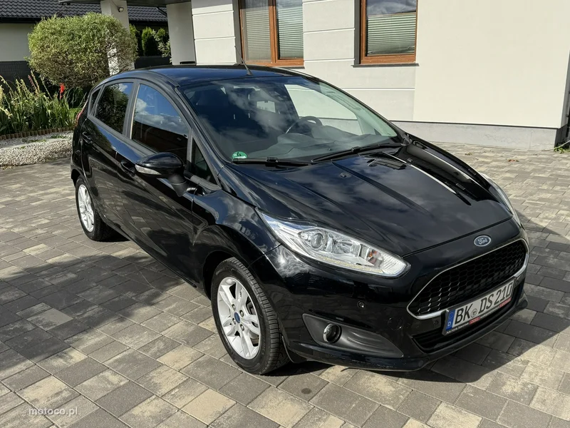 Ford Fiesta VI 22