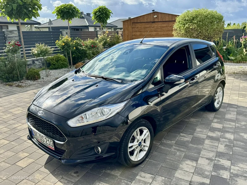 Ford Fiesta VI 23