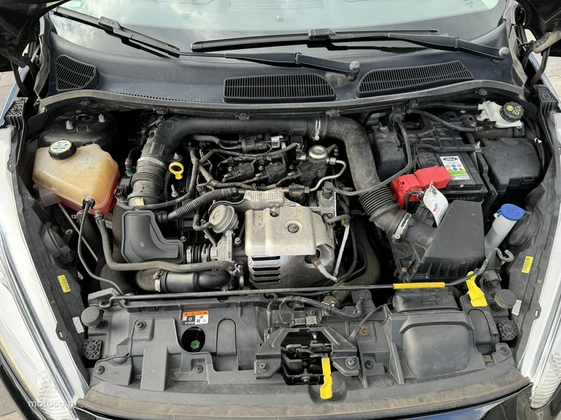 Ford Fiesta VI 29