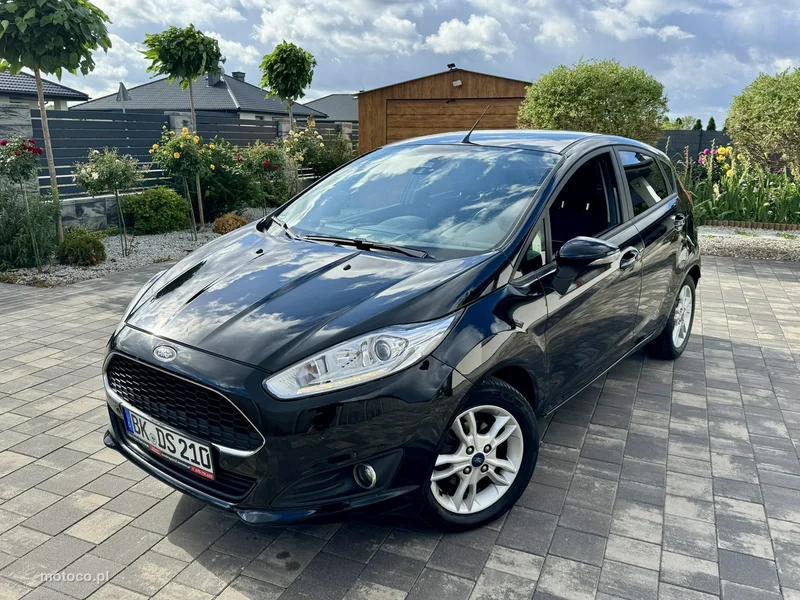 Ford Fiesta VI 6