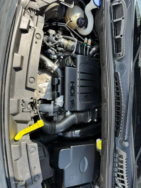 Citroen C3 Picasso 19