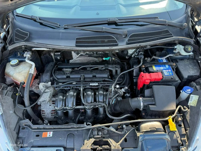 Ford Fiesta VI 14