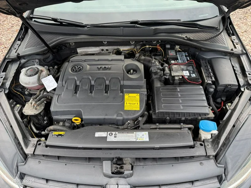 Volkswagen Golf VII 10