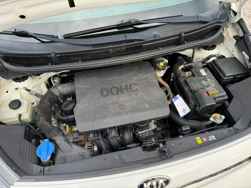 Kia Picanto 18
