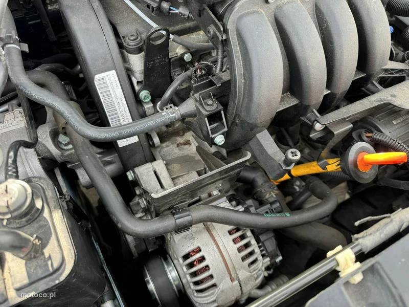 Seat Altea 21