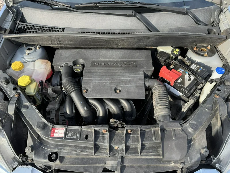 Ford Fusion 19