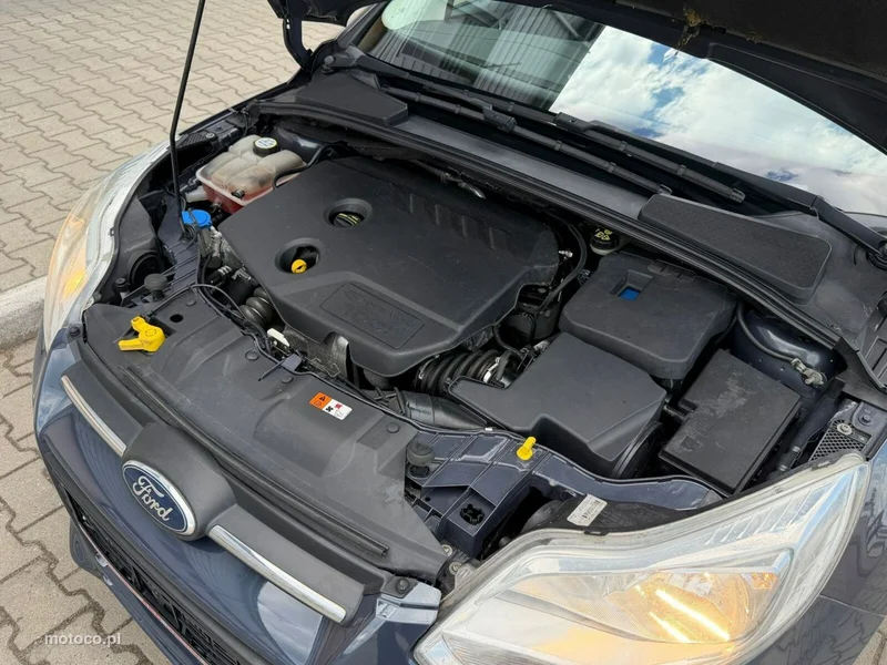 Ford Focus III 23