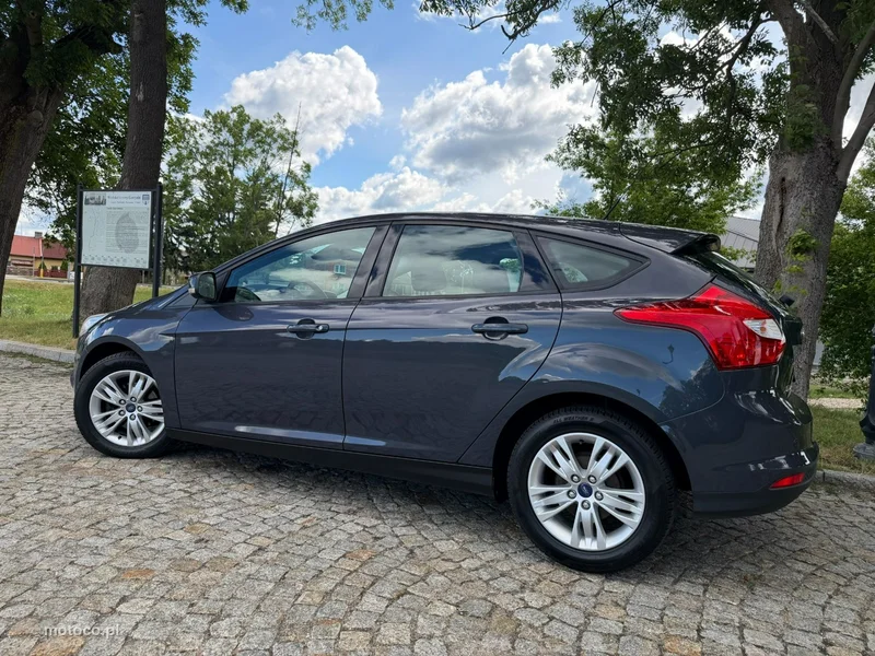 Ford Focus III 13