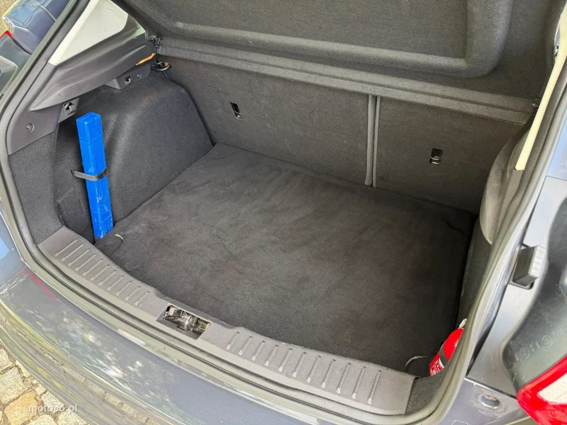 Ford Focus III 29