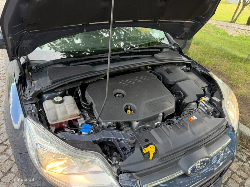Ford Focus III 33