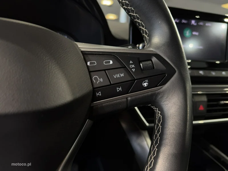 Seat Leon 17